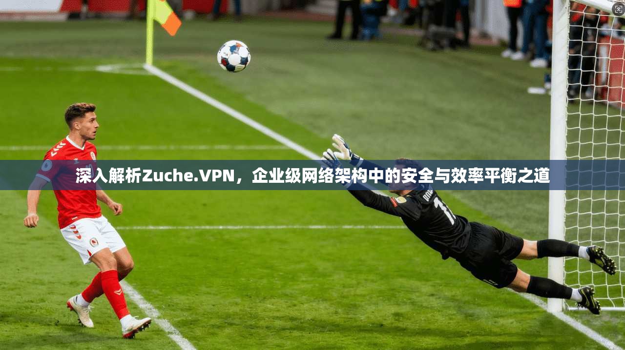 深入解析Zuche.VPN，企业级网络架构中的安全与效率平衡之道
