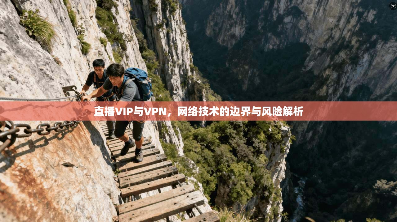 直播VIP与VPN，网络技术的边界与风险解析  第1张