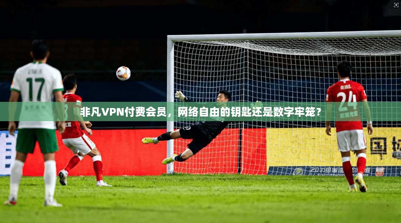 非凡VPN付费会员，网络自由的钥匙还是数字牢笼？