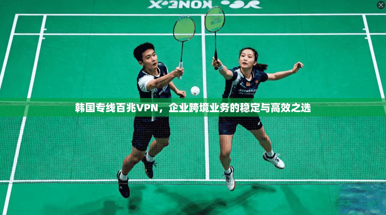 韩国专线百兆VPN，企业跨境业务的稳定与高效之选