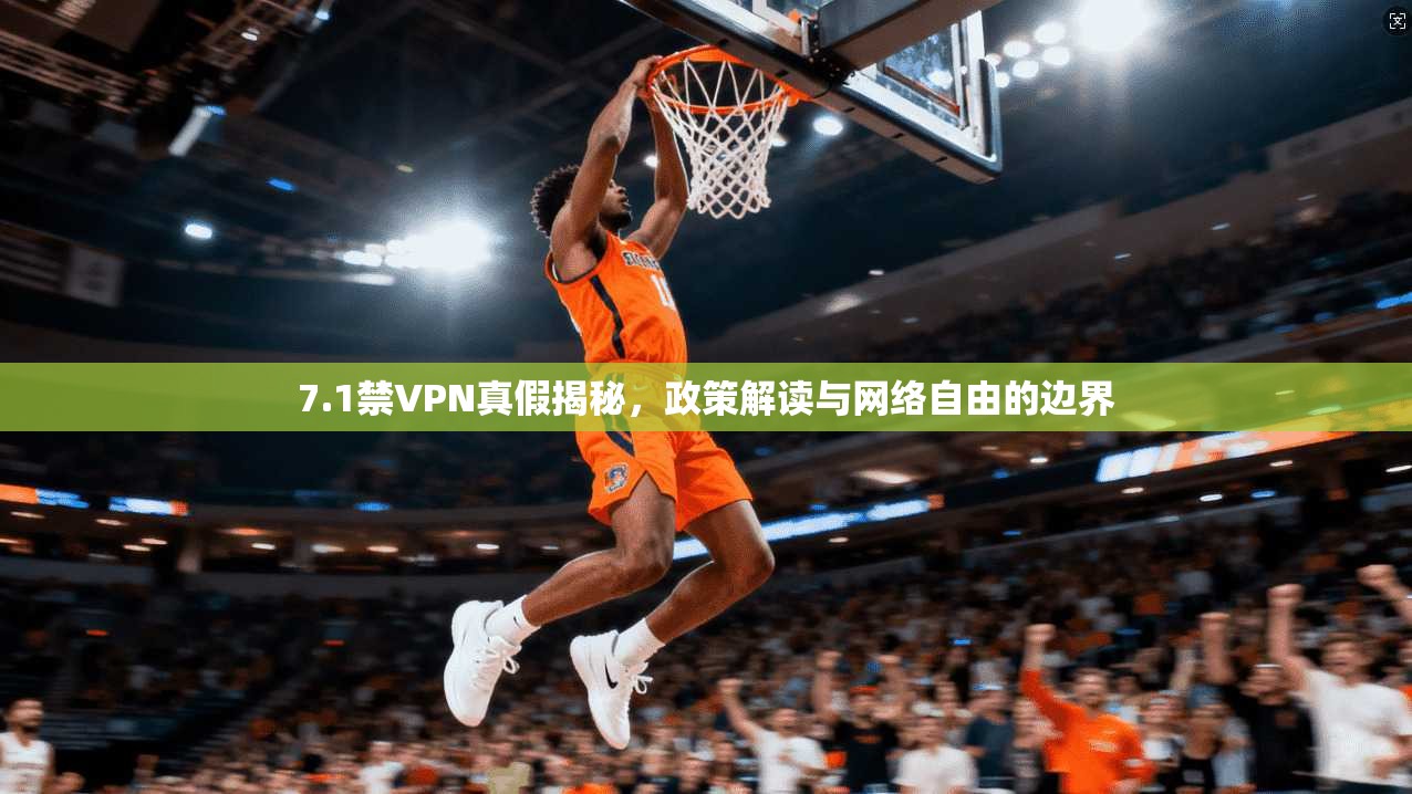 7.1禁VPN真假揭秘，政策解读与网络自由的边界