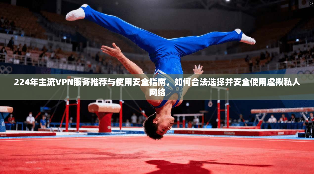 224年主流VPN服务推荐与使用安全指南，如何合法选择并安全使用虚拟私人网络