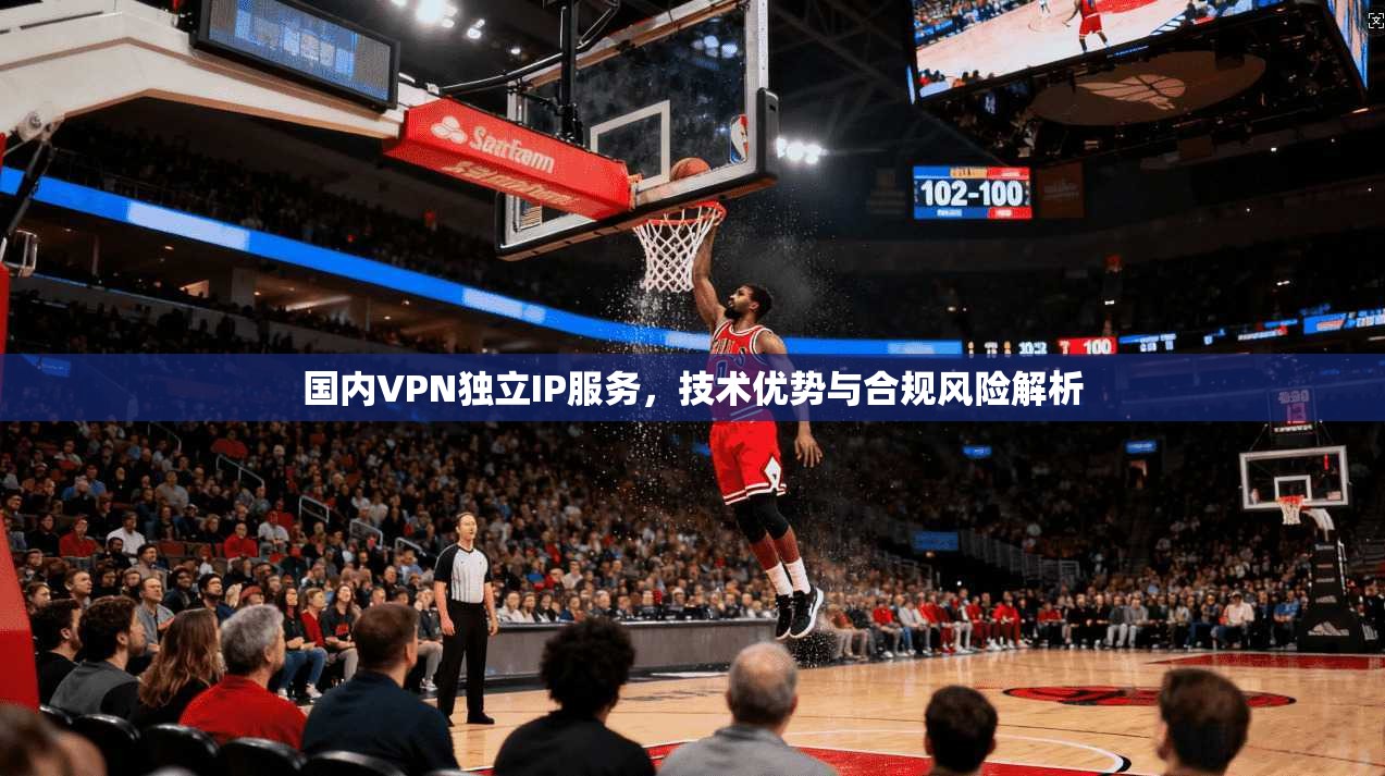 国内VPN独立IP服务，技术优势与合规风险解析