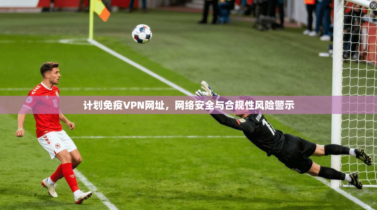 计划免疫VPN网址，网络安全与合规性风险警示