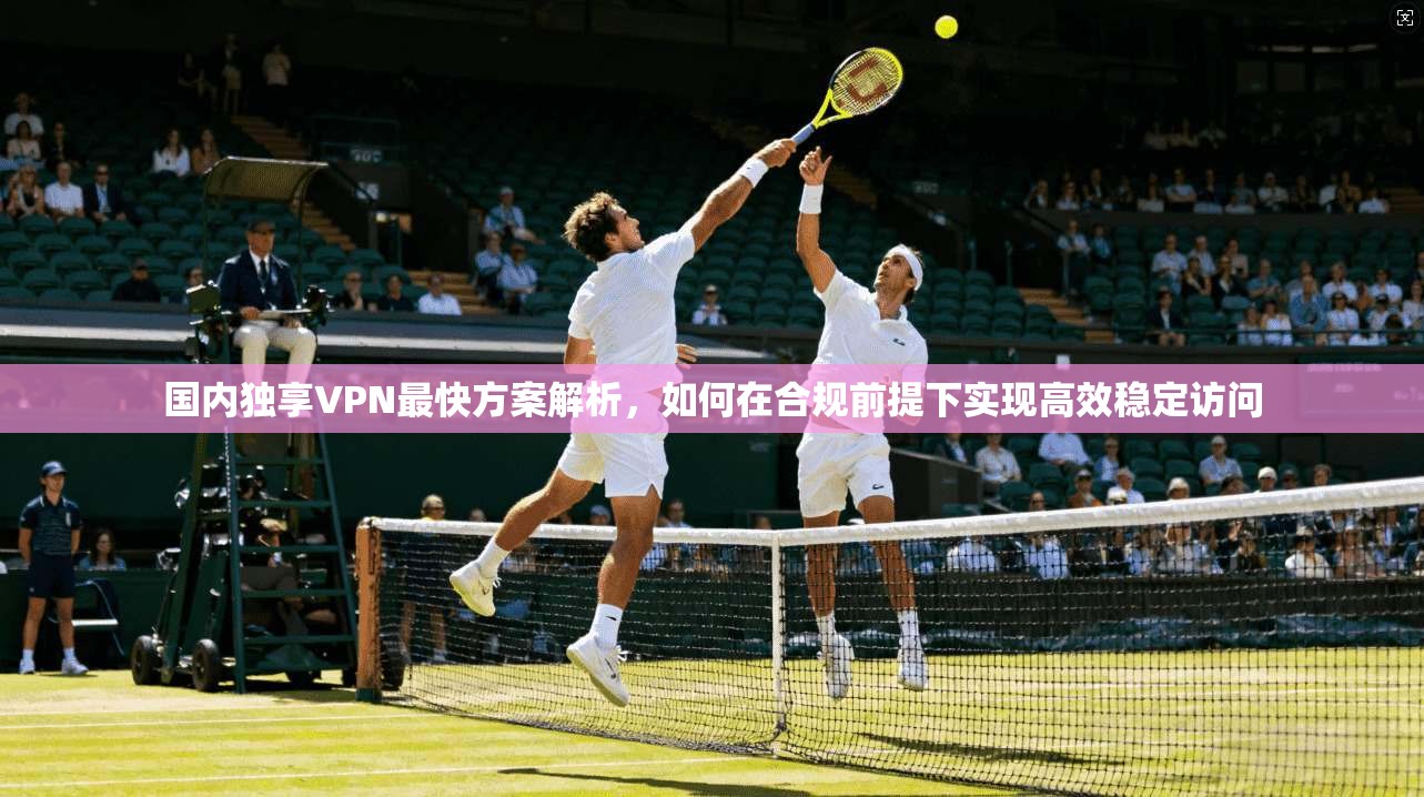国内独享VPN最快方案解析，如何在合规前提下实现高效稳定访问