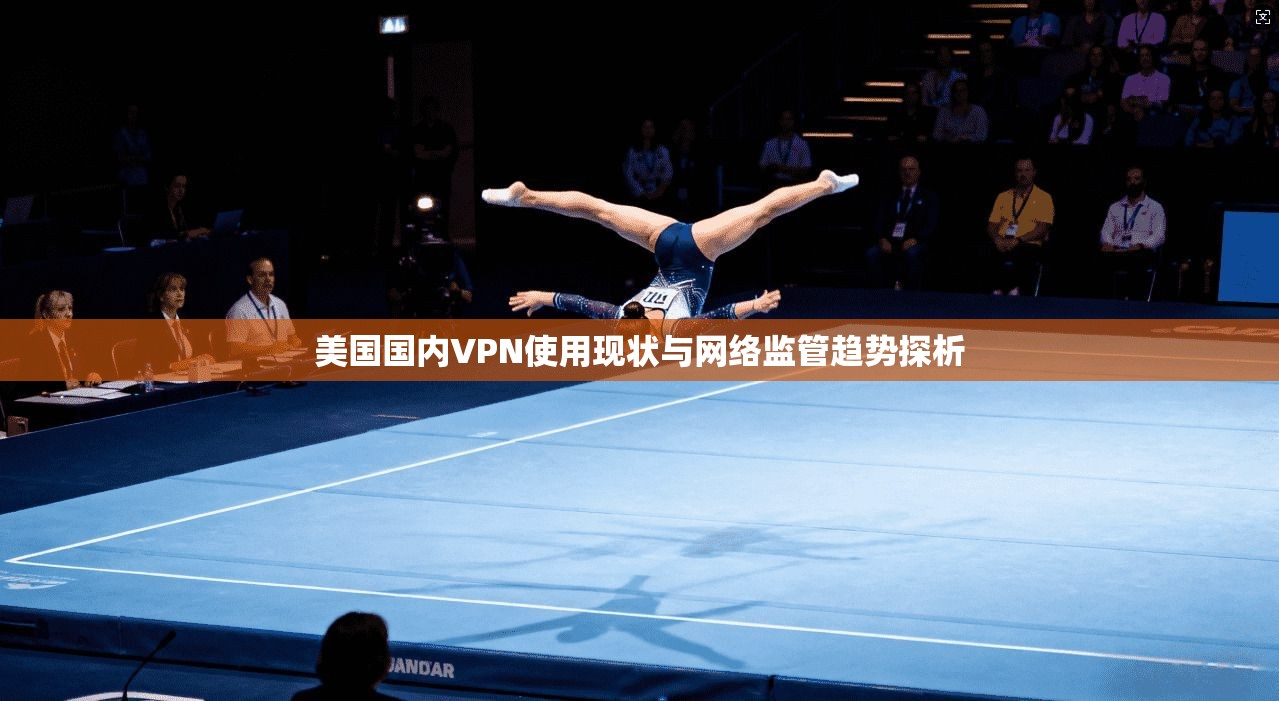 美国国内VPN使用现状与网络监管趋势探析