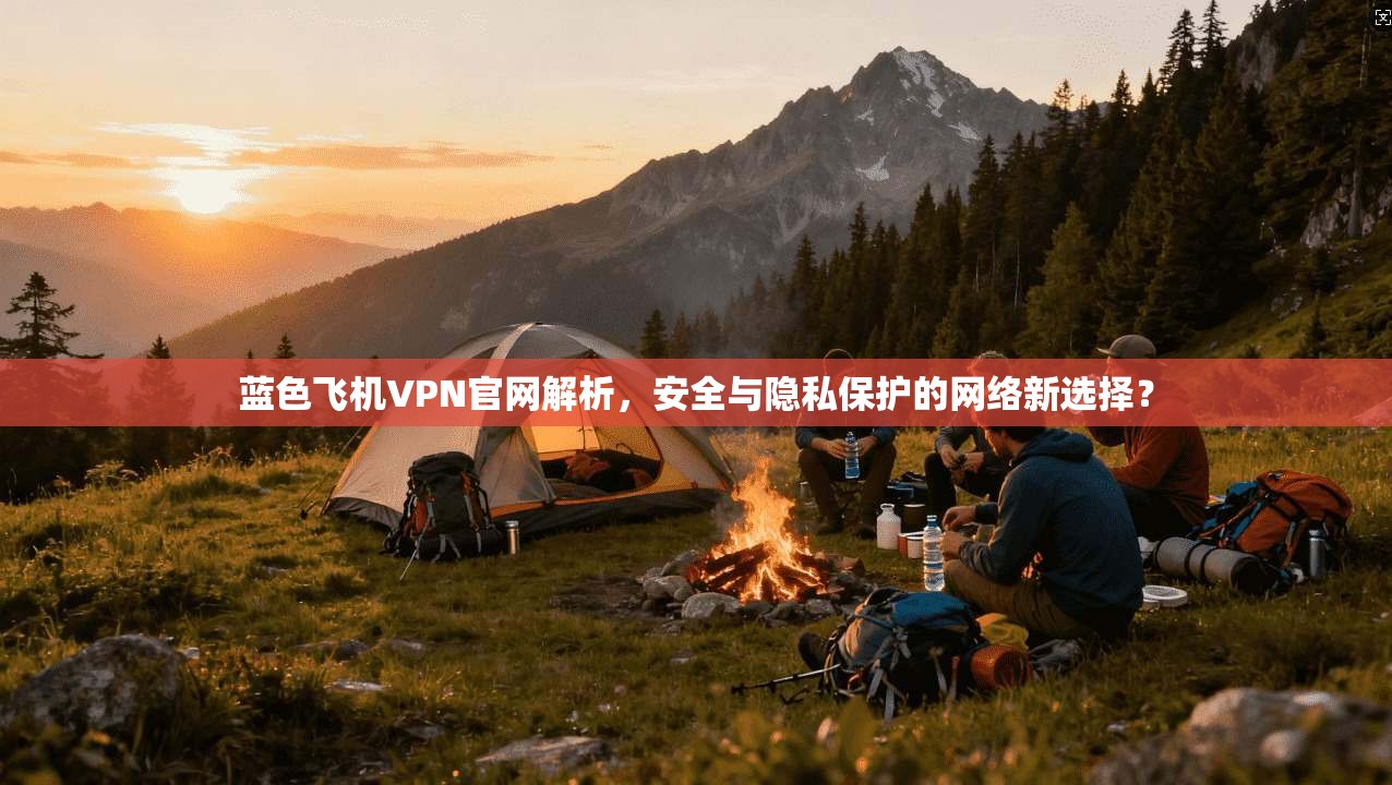 蓝色飞机VPN官网解析，安全与隐私保护的网络新选择？