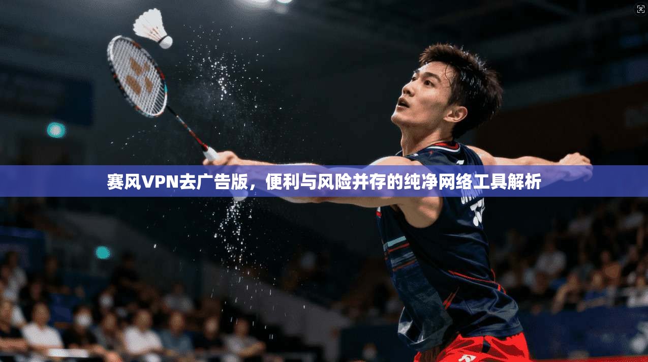 赛风VPN去广告版，便利与风险并存的纯净网络工具解析