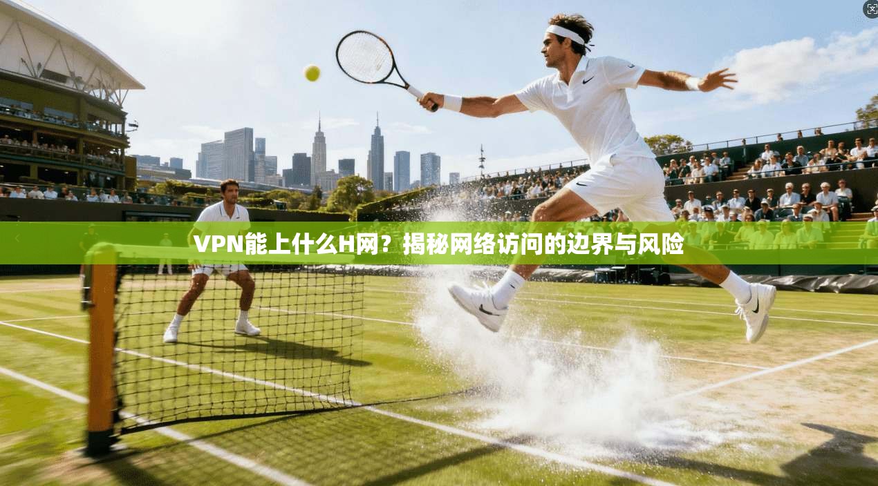VPN能上什么H网？揭秘网络访问的边界与风险