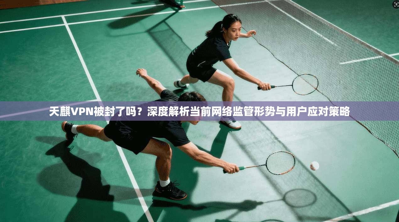 天麒VPN被封了吗？深度解析当前网络监管形势与用户应对策略