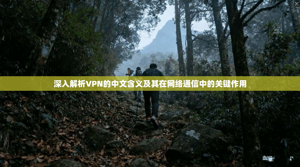 深入解析VPN的中文含义及其在网络通信中的关键作用