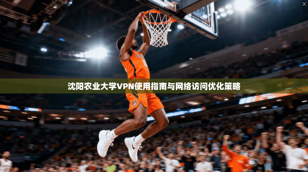 沈阳农业大学VPN使用指南与网络访问优化策略