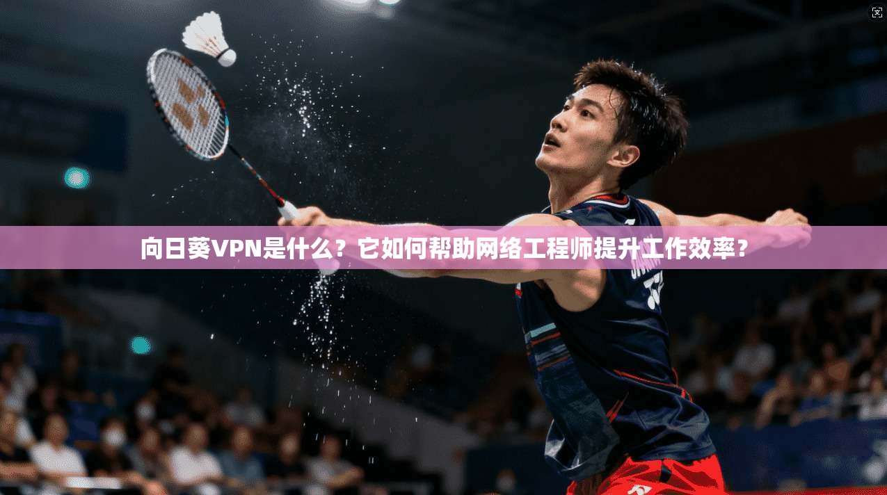向日葵VPN是什么？它如何帮助网络工程师提升工作效率？