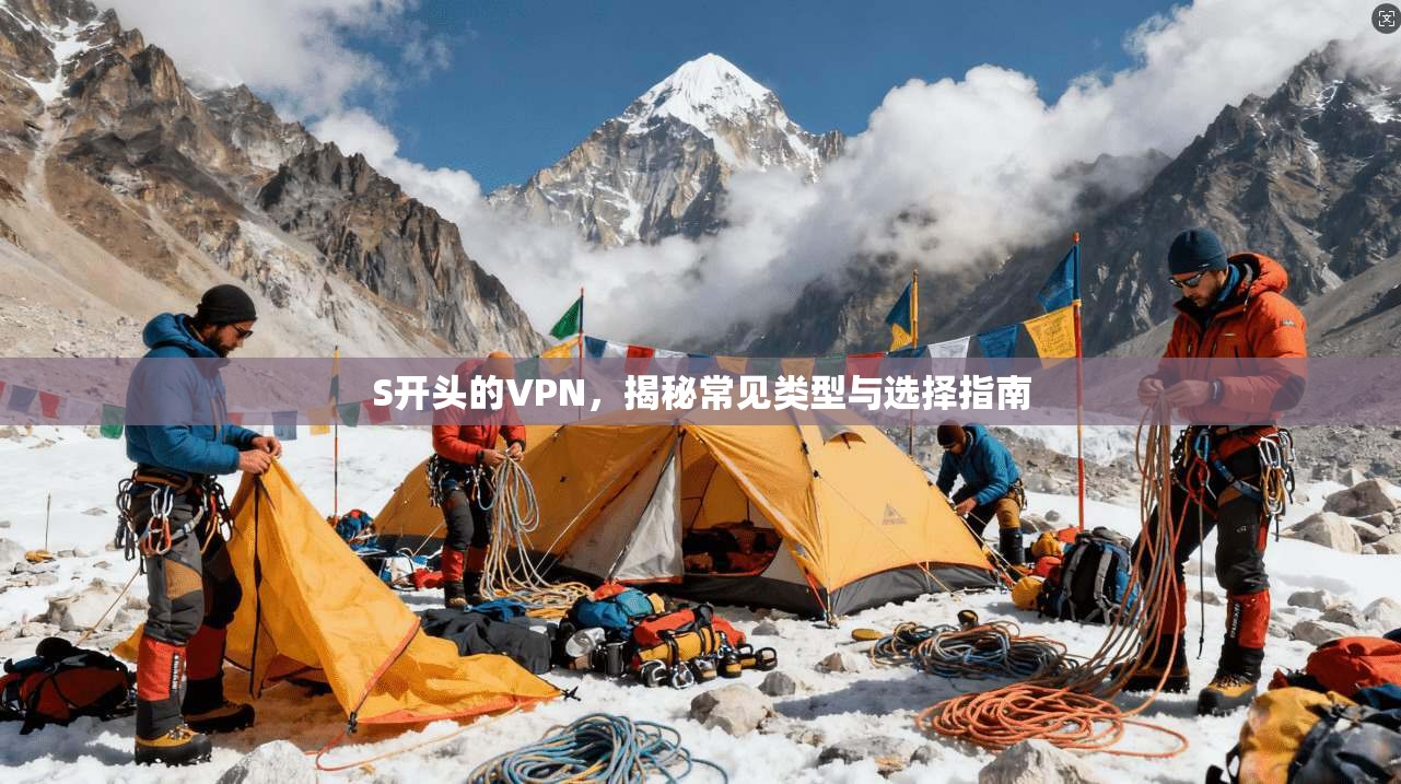 S开头的VPN，揭秘常见类型与选择指南