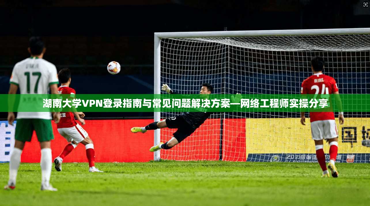 湖南大学VPN登录指南与常见问题解决方案—网络工程师实操分享