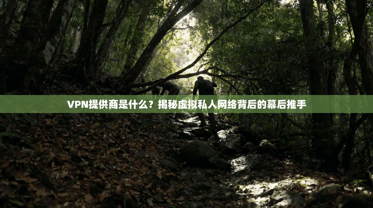 VPN提供商是什么？揭秘虚拟私人网络背后的幕后推手