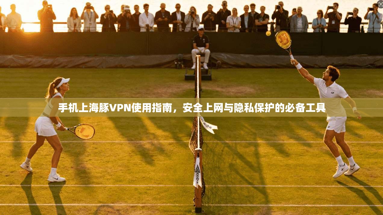 手机上海豚VPN使用指南，安全上网与隐私保护的必备工具