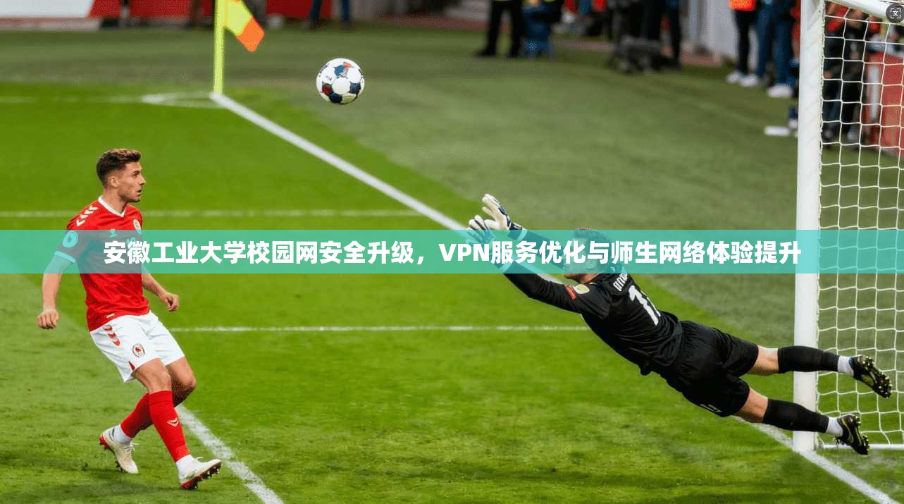 安徽工业大学校园网安全升级，VPN服务优化与师生网络体验提升