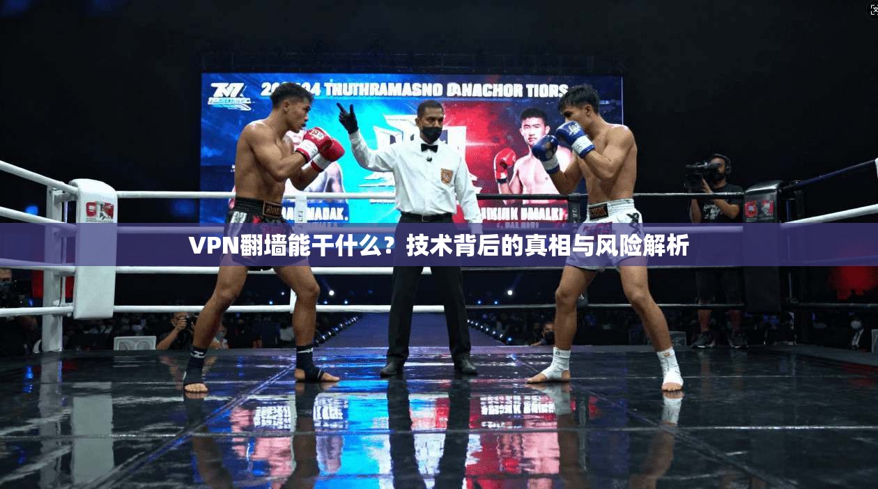 VPN翻墙能干什么？技术背后的真相与风险解析