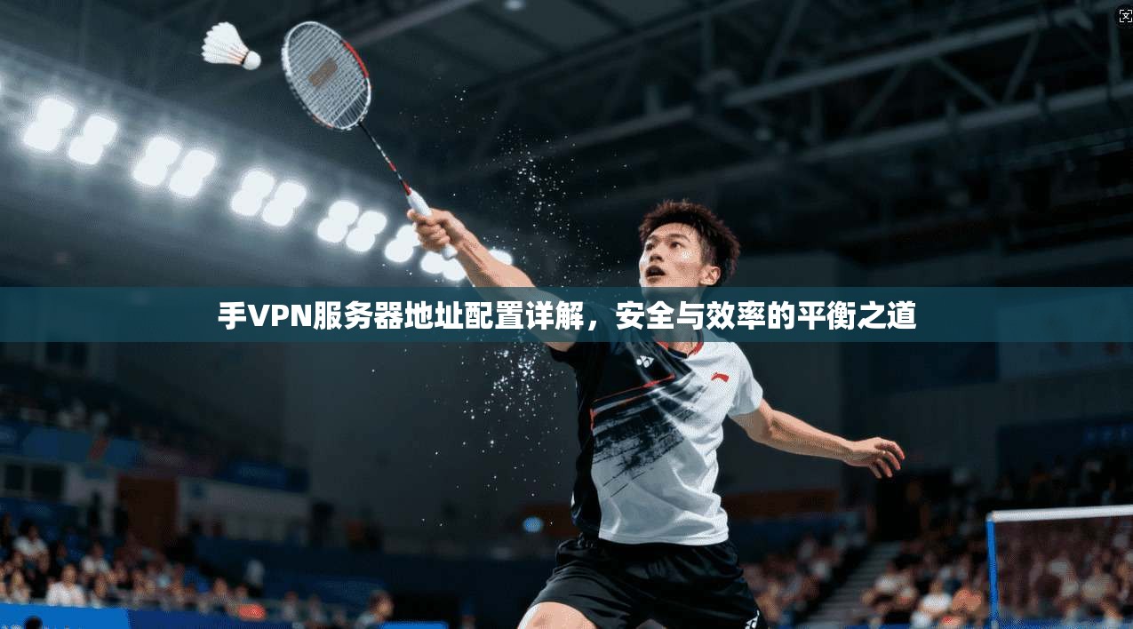 手VPN服务器地址配置详解，安全与效率的平衡之道