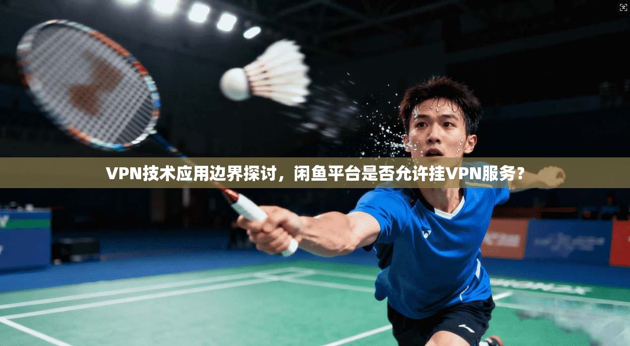 VPN技术应用边界探讨，闲鱼平台是否允许挂VPN服务？