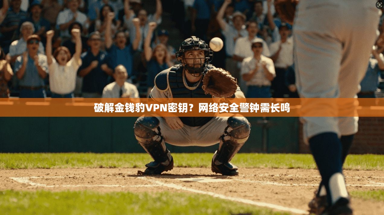 破解金钱豹VPN密钥？网络安全警钟需长鸣