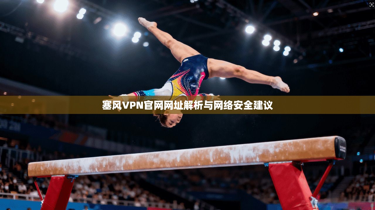 塞风VPN官网网址解析与网络安全建议