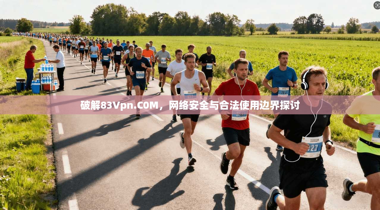 破解83Vpn.C0M，网络安全与合法使用边界探讨