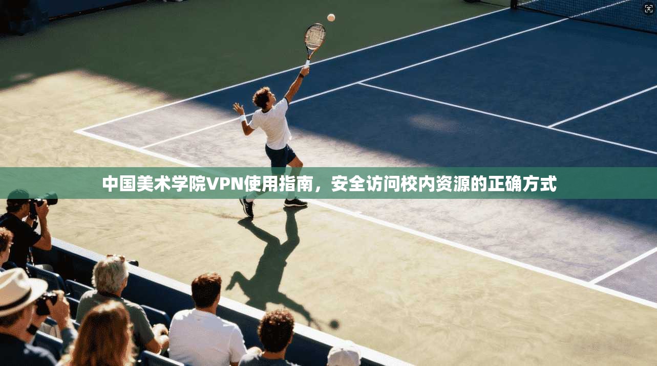 中国美术学院VPN使用指南，安全访问校内资源的正确方式