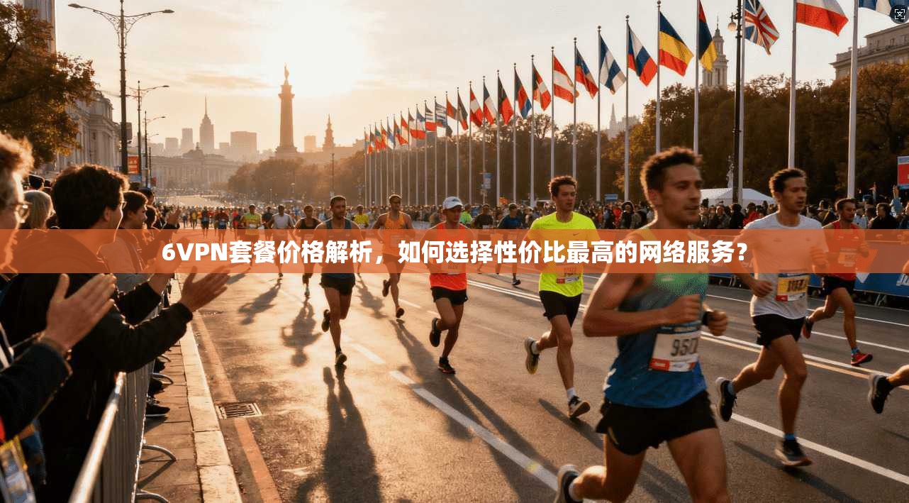 6VPN套餐价格解析，如何选择性价比最高的网络服务？