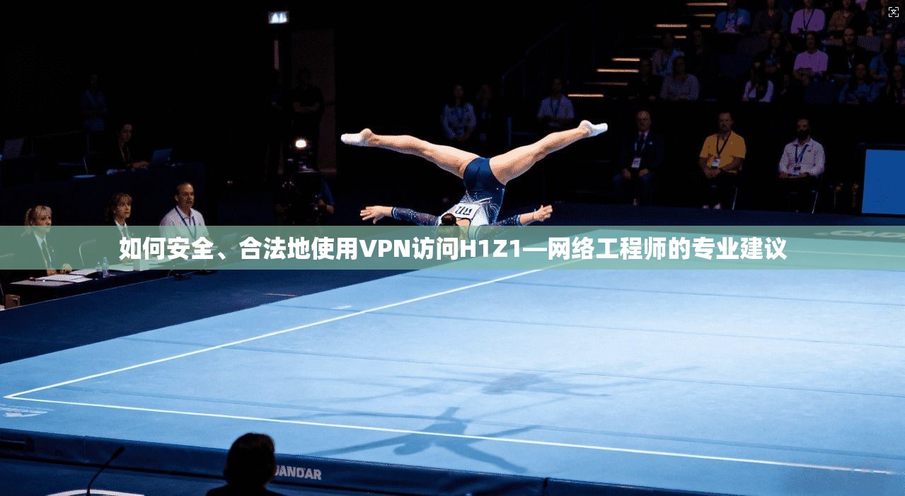 如何安全、合法地使用VPN访问H1Z1—网络工程师的专业建议