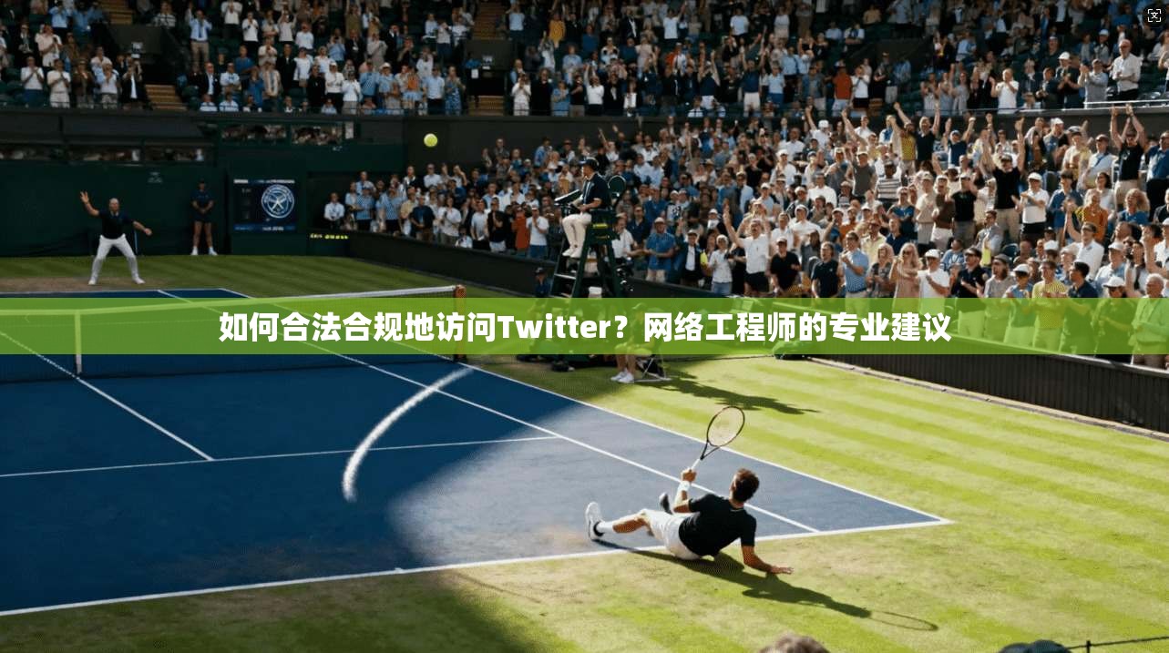 如何合法合规地访问Twitter？网络工程师的专业建议