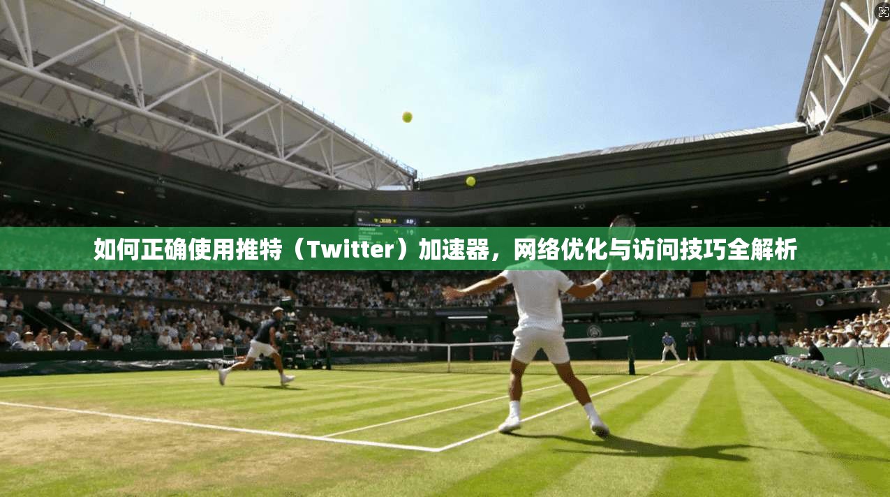如何正确使用推特（Twitter）加速器，网络优化与访问技巧全解析