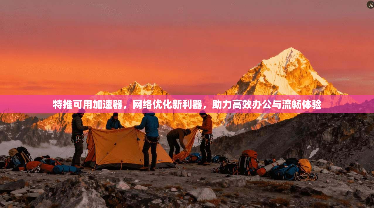 特推可用加速器，网络优化新利器，助力高效办公与流畅体验