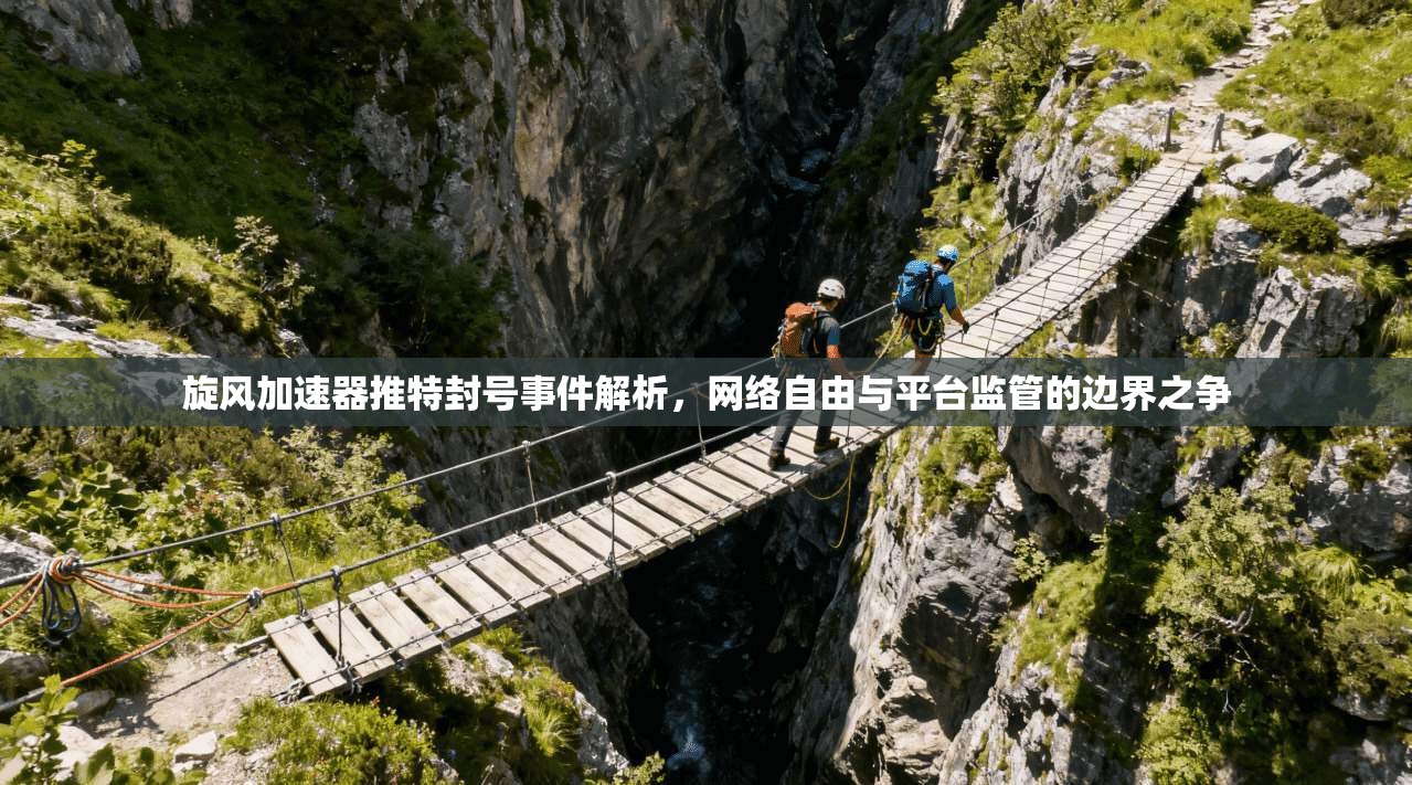 旋风加速器推特封号事件解析，网络自由与平台监管的边界之争