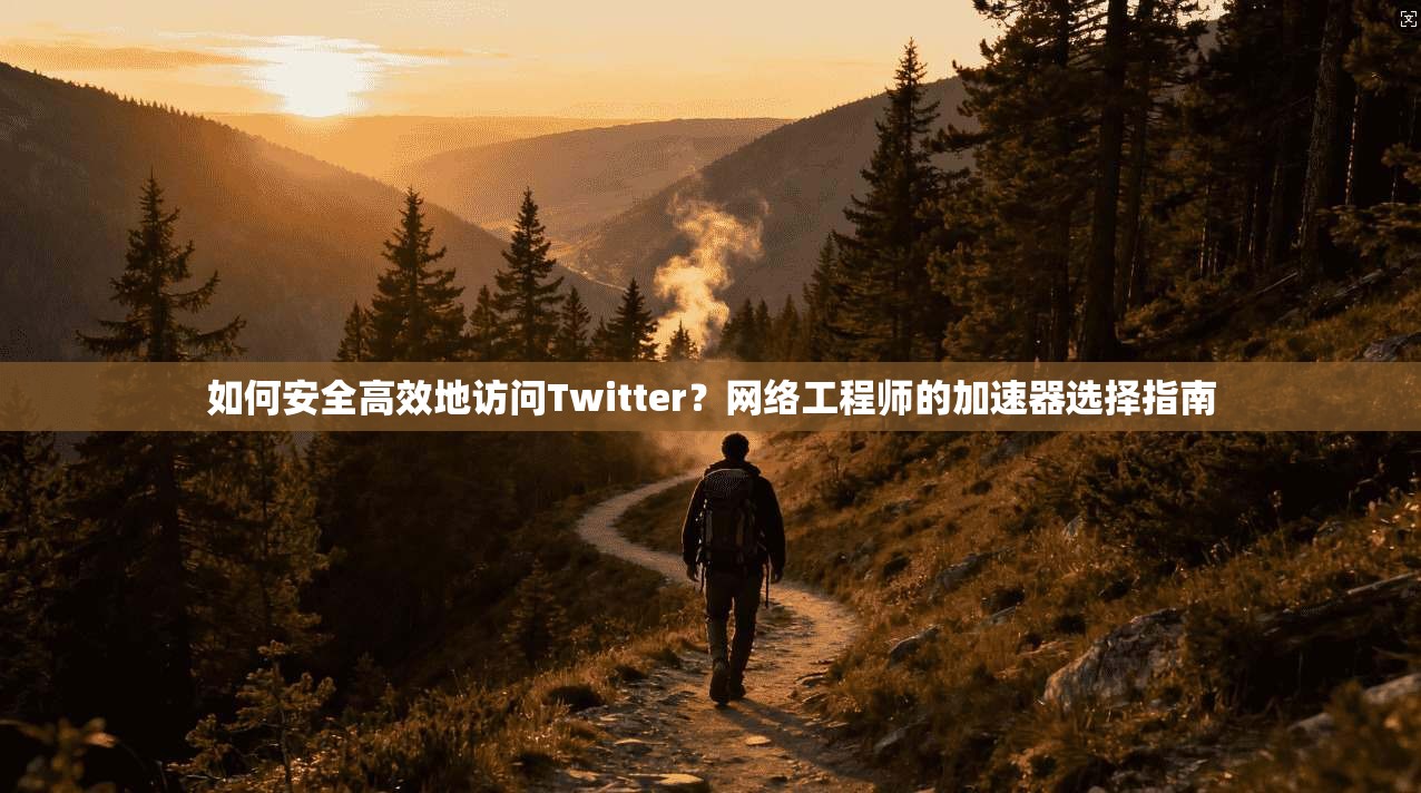 如何安全高效地访问Twitter？网络工程师的加速器选择指南