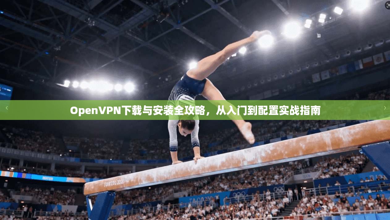 OpenVPN下载与安装全攻略，从入门到配置实战指南