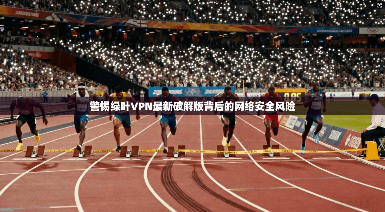 警惕绿叶VPN最新破解版背后的网络安全风险