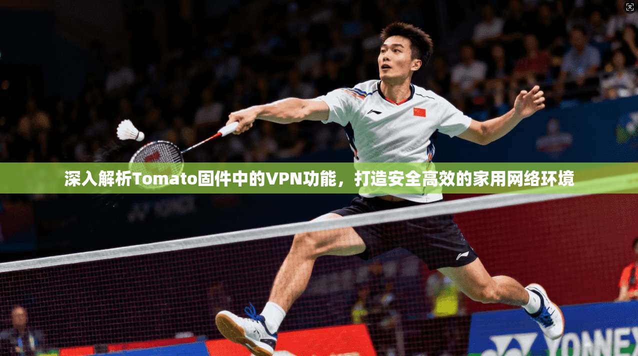 深入解析Tomato固件中的VPN功能，打造安全高效的家用网络环境