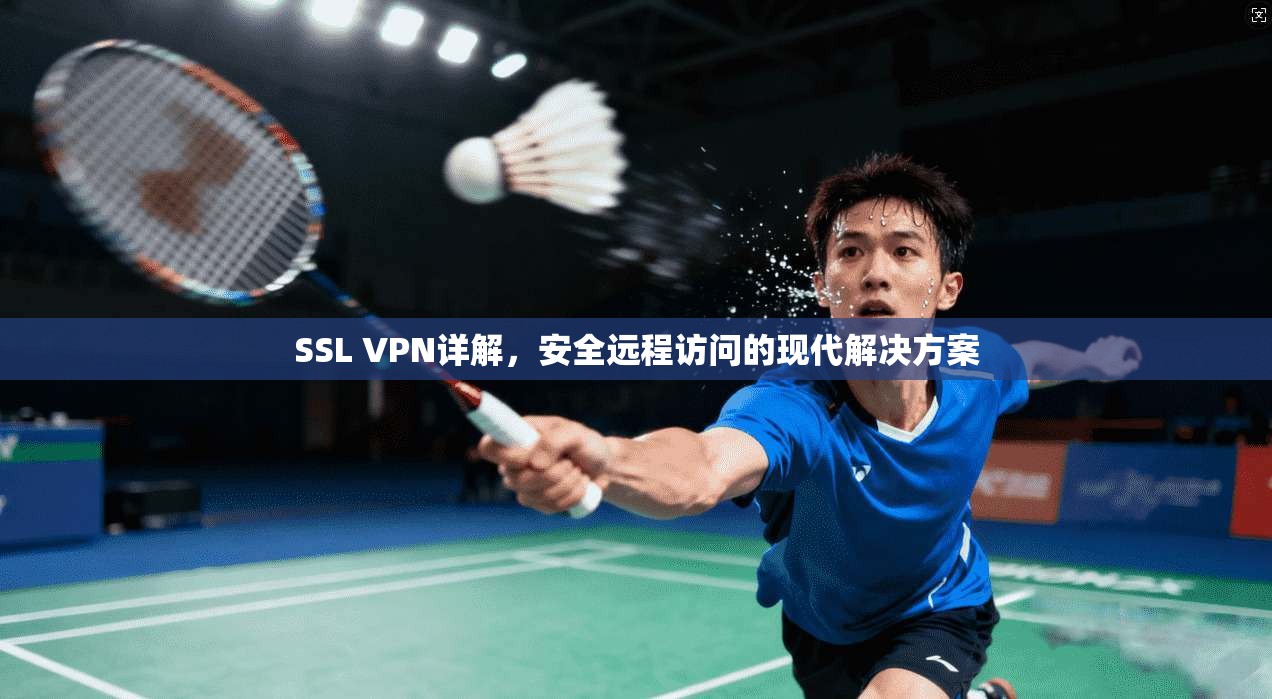 SSL VPN详解，安全远程访问的现代解决方案