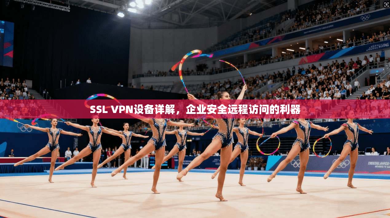 SSL VPN设备详解，企业安全远程访问的利器