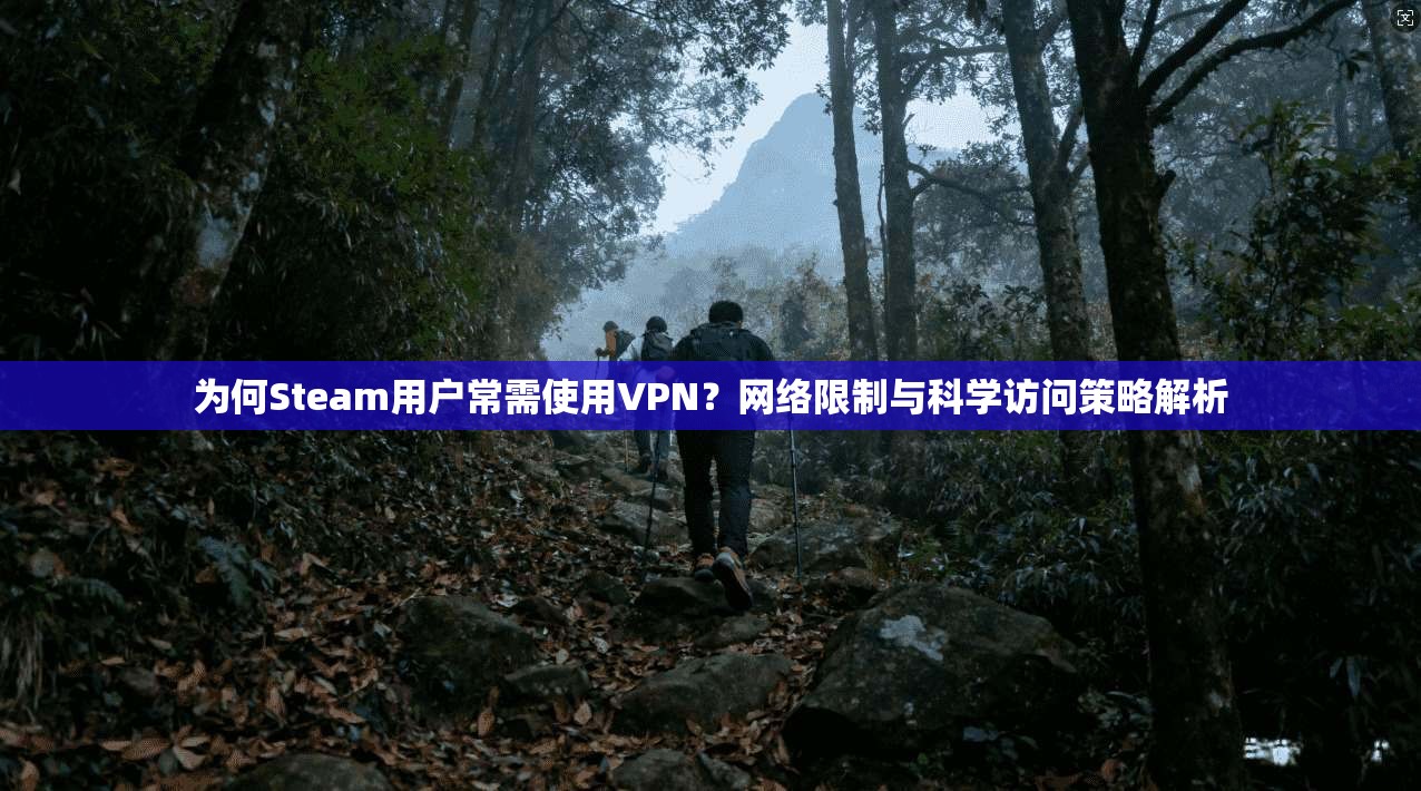 为何Steam用户常需使用VPN？网络限制与科学访问策略解析