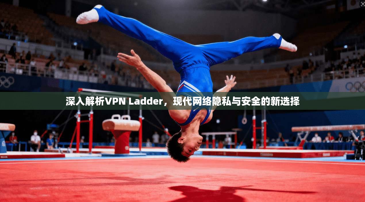 深入解析VPN Ladder，现代网络隐私与安全的新选择