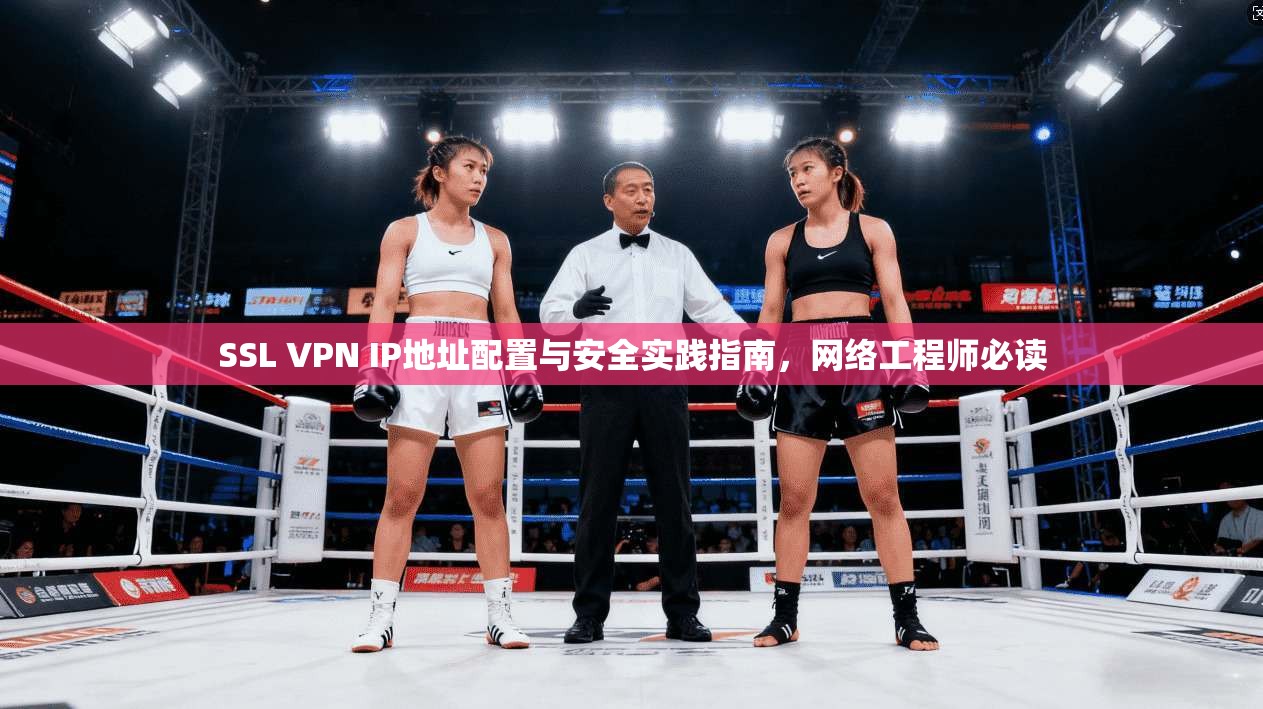 SSL VPN IP地址配置与安全实践指南，网络工程师必读  第1张