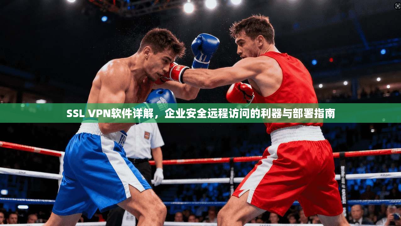 SSL VPN软件详解，企业安全远程访问的利器与部署指南  第1张