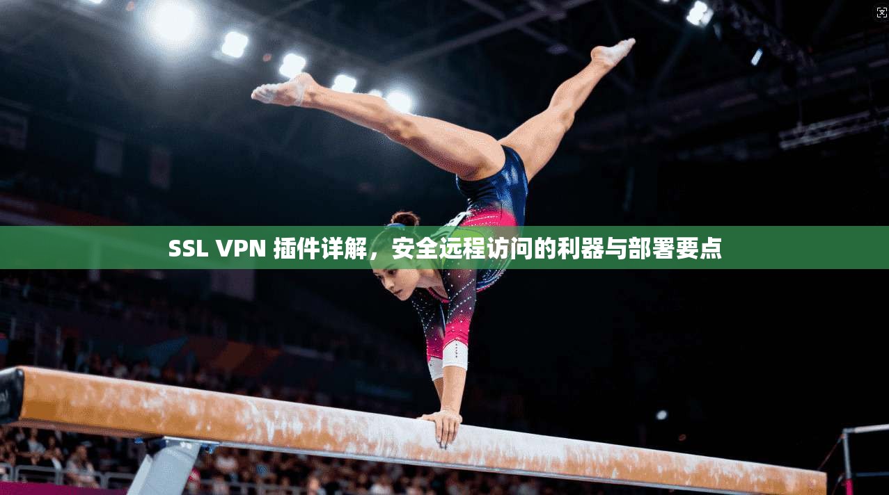 SSL VPN 插件详解，安全远程访问的利器与部署要点  第1张