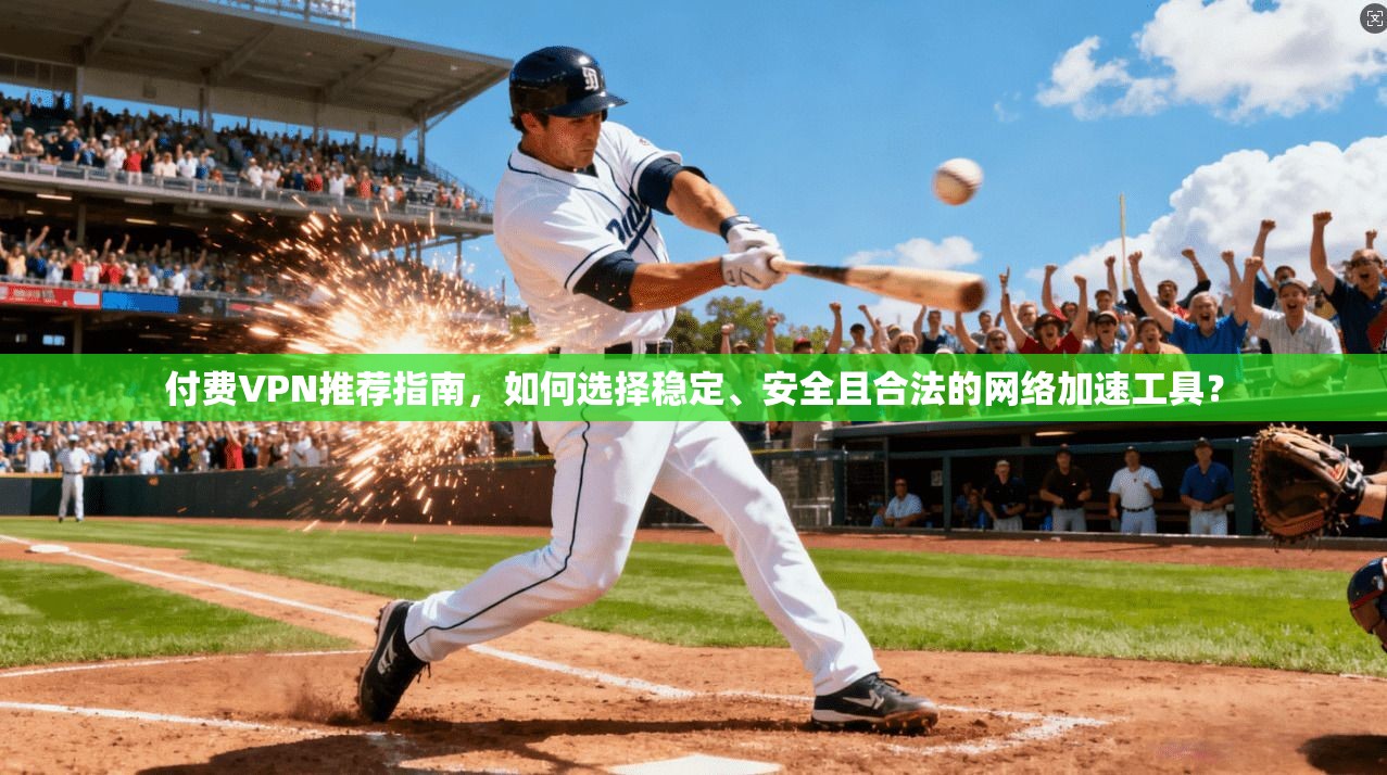 付费VPN推荐指南，如何选择稳定、安全且合法的网络加速工具？  第1张