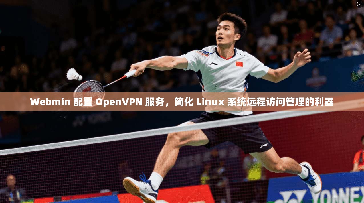 Webmin 配置 OpenVPN 服务，简化 Linux 系统远程访问管理的利器