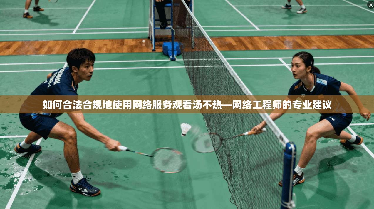 如何合法合规地使用网络服务观看汤不热—网络工程师的专业建议