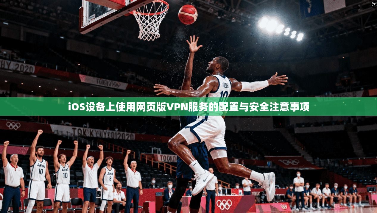 iOS设备上使用网页版VPN服务的配置与安全注意事项